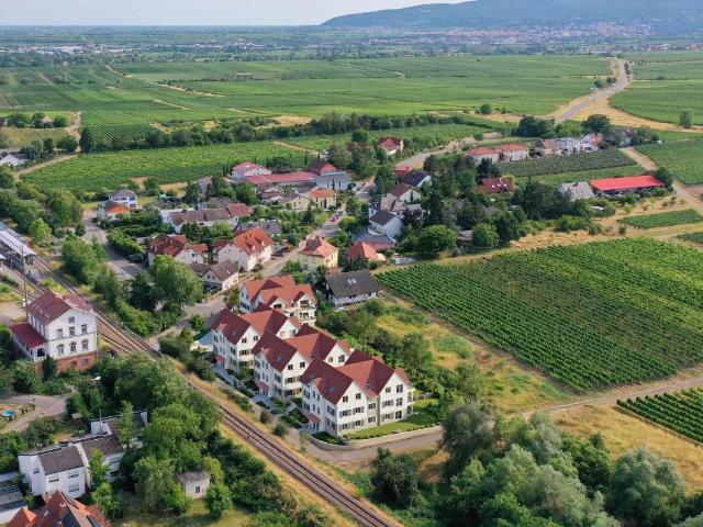 Wohnung zum Kaufen in Freinsheim 658.000,00 EUR 100 m²