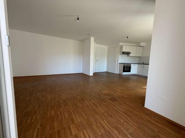 Wohnung zum Kaufen in Freiburg 265.000,00 EUR 41.6 m²