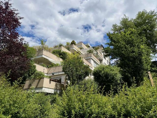 Wohnung zum Kaufen in Freiburg 350.000,00 EUR 179 m²