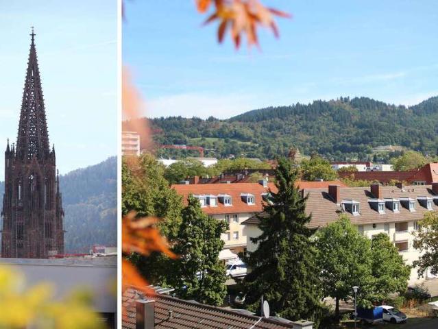 Wohnung zum Kaufen in Freiburg i. Br. Neuburg 895.000,00 EUR 119 m²