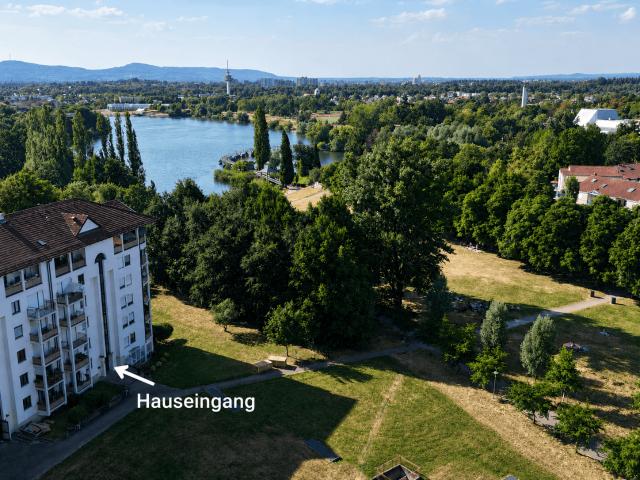 Wohnung zum Kaufen in Freiburg im Breisgau 260.000,00 EUR 57 m²