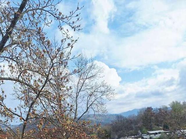 Wohnung zum Kaufen in Freiburg im Breisgau 587.000,00 EUR 92 m²