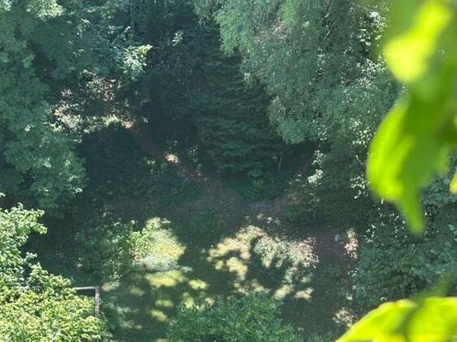 Wohnung zum Kaufen in Freiburg im Breisgau 849.000,00 EUR 138 m²