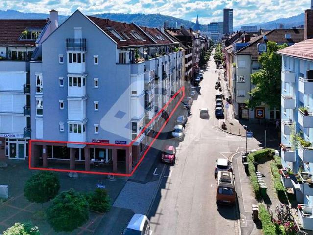 Wohnung zum Kaufen in Freiburg im Breisgau 985.000,00 EUR 493 m²