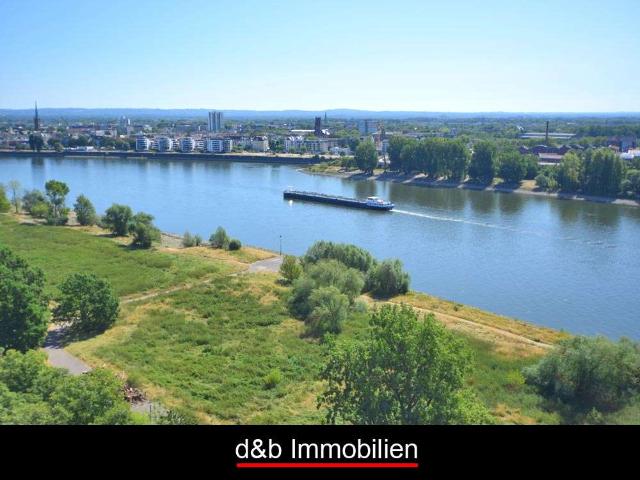 Wohnung zum Kaufen in Köln 289.000,00 EUR 66.15 m²