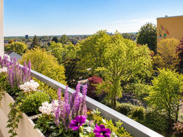 Wohnung zum Kaufen in Köln 325.000,00 EUR 93 m²