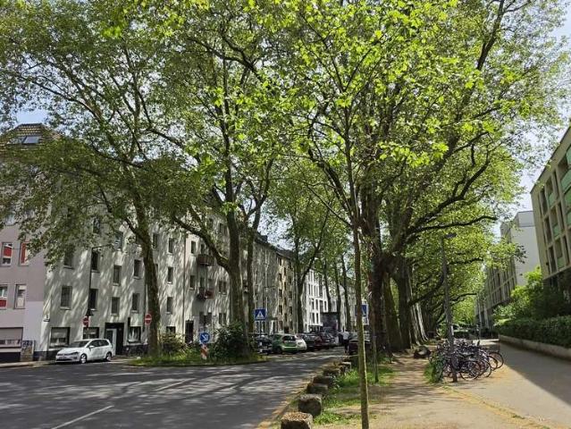Wohnung zum Kaufen in Köln 329.000,00 EUR 55 m²