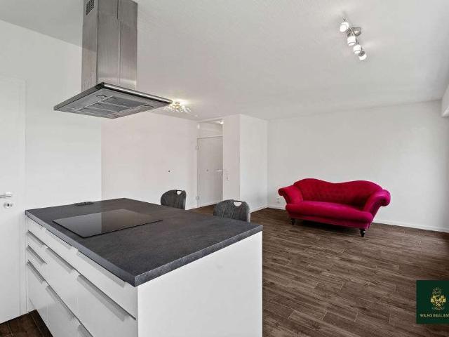 Wohnung zum Kaufen in Köln 399.000,00 EUR 60 m²