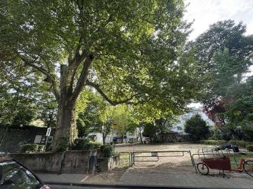 Wohnung zum Kaufen in Köln Innenstadt 359.000,00 EUR 49 m²
