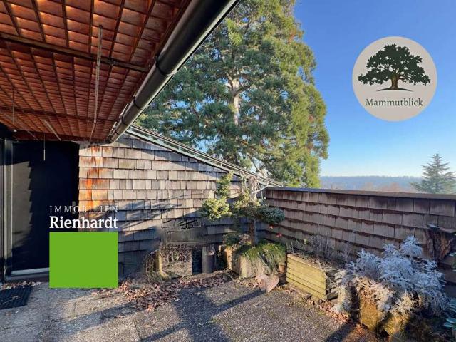 Wohnung zum Kaufen in Korntal Münchingen 267.000,00 EUR 75 m²