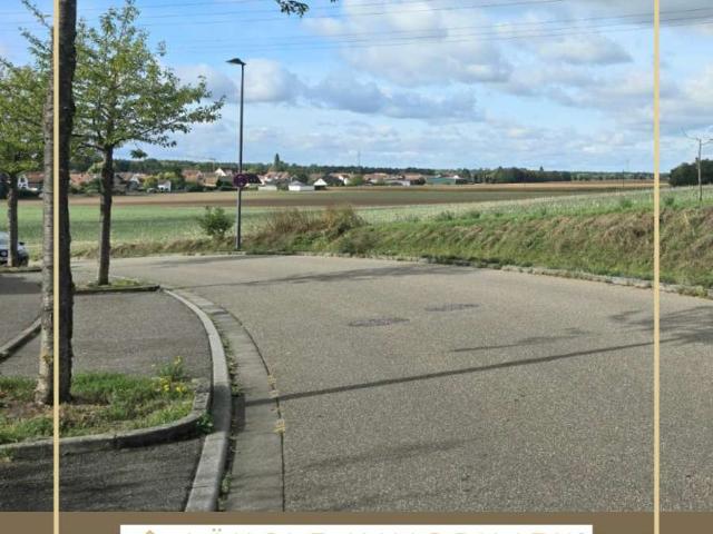 Wohnung zum Kaufen in Kandel 285.000,00 EUR 61.12 m²
