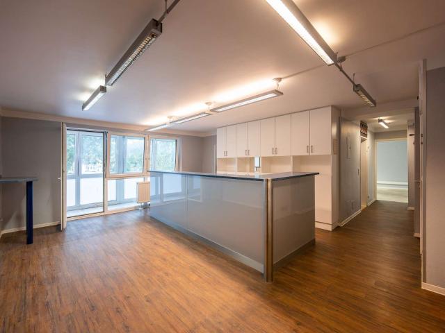 Wohnung zum Kaufen in Karlsruhe 560.000,00 EUR 234 m²