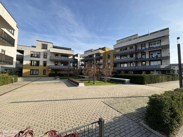Wohnung zum Kaufen in Kehl 495.000,00 EUR 133 m²