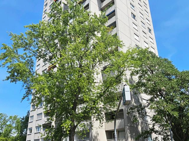 Wohnung zum Kaufen in Kirchheim 295.000,00 EUR 84 m²
