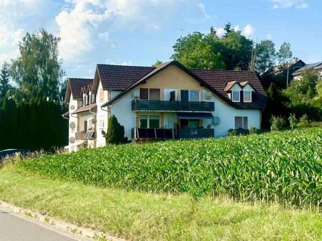 Wohnung zum Kaufen in Hohenfels 300.000,00 EUR 226 m²