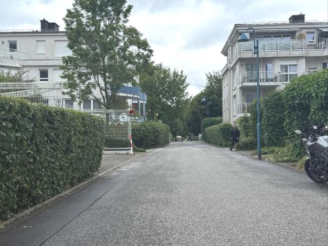 Wohnung zum Kaufen in Hattersheim 269.000,00 EUR 63.72 m²