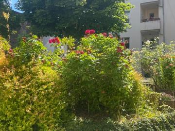 Wohnung zum Kaufen in Hagen 250.000,00 EUR 121 m²
