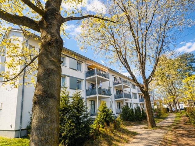 Wohnung zum Kaufen in Hanau 399.000,00 EUR 114 m²