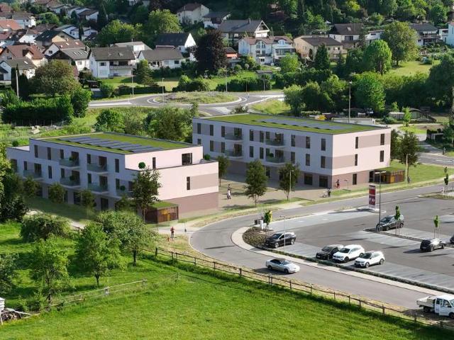 Wohnung zum Kaufen in Haßmersheim 455.000,00 EUR 93.74 m²