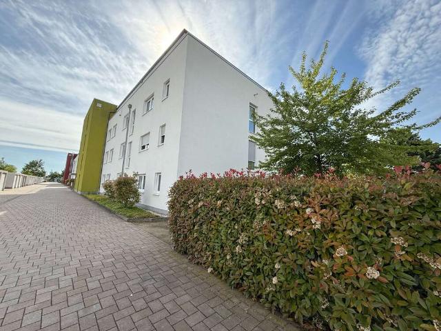 Wohnung zum Kaufen in Haßloch 359.000,00 EUR 87.72 m²