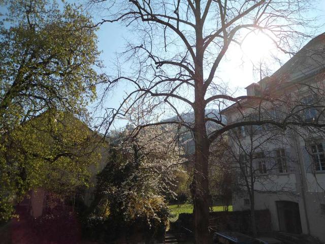 Wohnung zum Kaufen in Heidelberg 460.000,00 EUR 87.15 m²