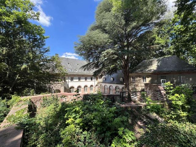 Wohnung zum Kaufen in Heidelberg 2.300.000,00 EUR 200 m²