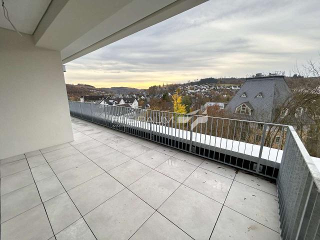 Wohnung zum Kaufen in Hilchenbach 475.000,00 EUR 119.16 m²