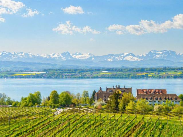 Wohnung zum Kaufen in Immenstaad am Bodensee 1.870.000,00 EUR 207 m²