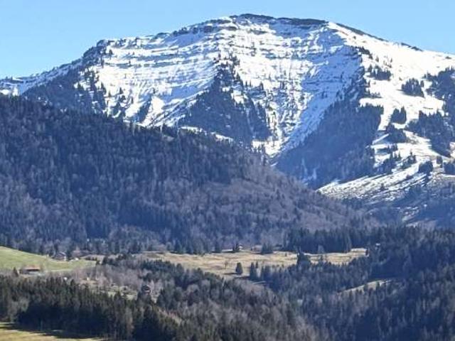 Wohnung zum Kaufen in Oberstaufen 365.000,00 EUR 76 m²