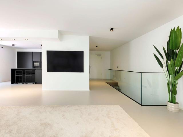 Wohnung zum Kaufen in Offenbach 879.000,00 EUR 167 m²