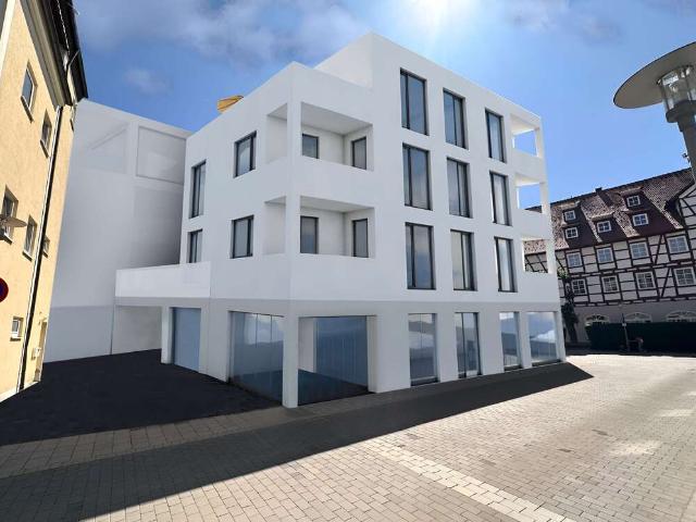 Wohnung zum Kaufen in Laupheim 289.900,00 EUR 52 m²