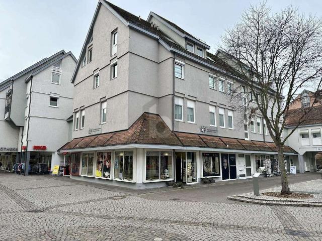 Wohnung zum Kaufen in LahrSchwarzwald 385.000,00 EUR 201 m²