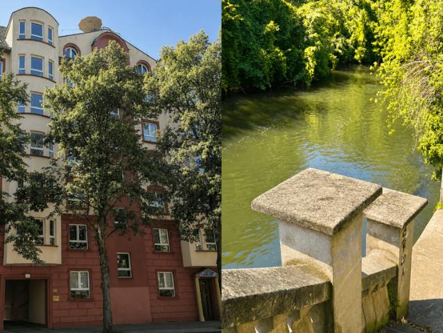 Wohnung zum Kaufen in Leipzig 495.000,00 EUR 111.42 m²