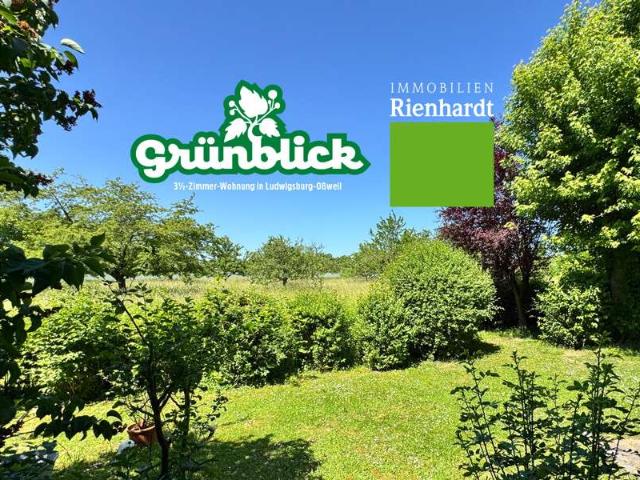 Wohnung zum Kaufen in Ludwigsburg 378.000,00 EUR 103 m²