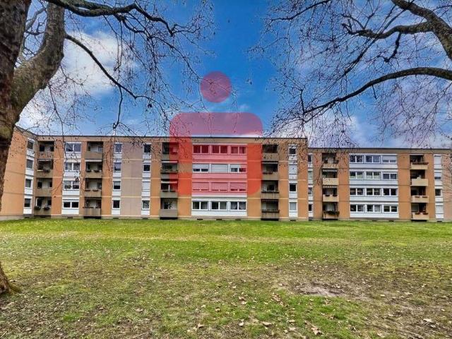 Wohnung zum Kaufen in Ludwigshafen 260.000,00 EUR 113.23 m²