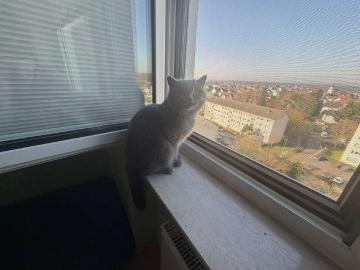 Dörnigheim, Taunus, Rheinland-Pfalz