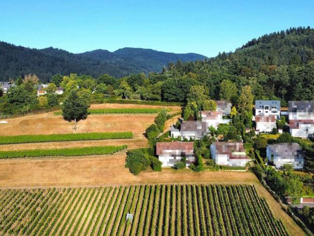 Wohnung zum Kaufen in Merzhausen 850.000,00 EUR 100 m²