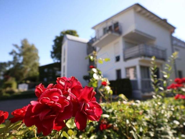 Wohnung zum Kaufen in Mühltal 369.900,00 EUR 113.33 m²