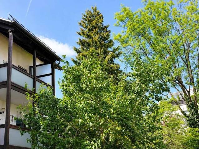 Wohnung zum Kaufen in München 339.000,00 EUR 50 m²