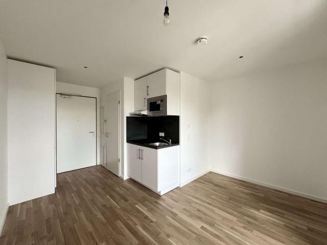 Wohnung zum Kaufen in München Giesing 285.000,00 EUR 25.65 m²