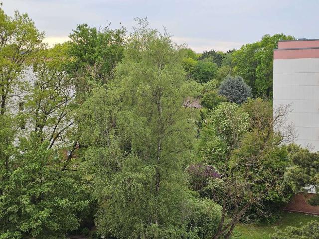 Wohnung zum Kaufen in Nürnberg 349.900,00 EUR 98 m²
