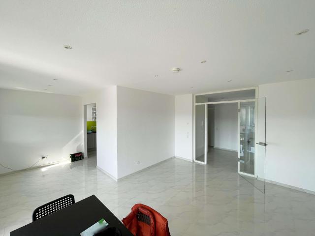 Wohnung zum Kaufen in Schopfheim 545.000,00 EUR 114.28 m²
