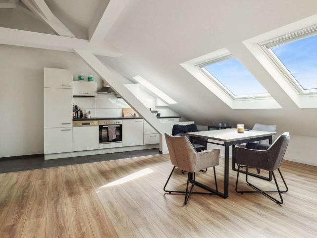 Wohnung zum Kaufen in Singen 620.000,00 EUR 223 m²