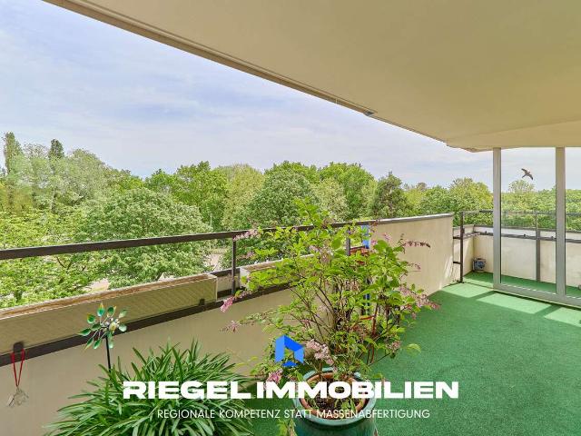 Wohnung zum Kaufen in Speyer 359.000,00 EUR 121.1 m²