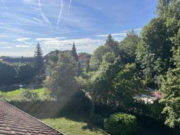 Sulzbach, Main-Taunus-Kreis, Taunus, Rheinland-Pfalz