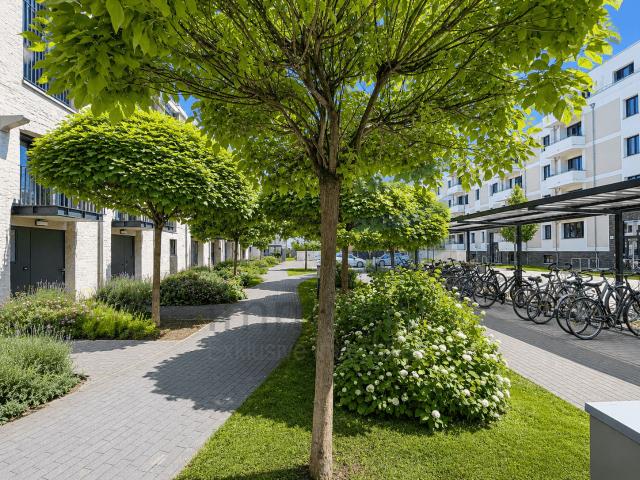 Wohnung zum Kaufen in Potsdam 549.000,00 EUR 94 m²
