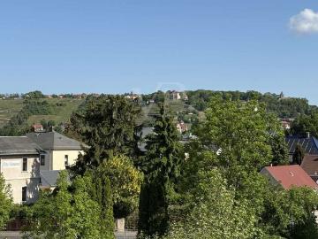 Wohnung zum Kaufen in Radebeul 429.000,00 EUR 113 m²