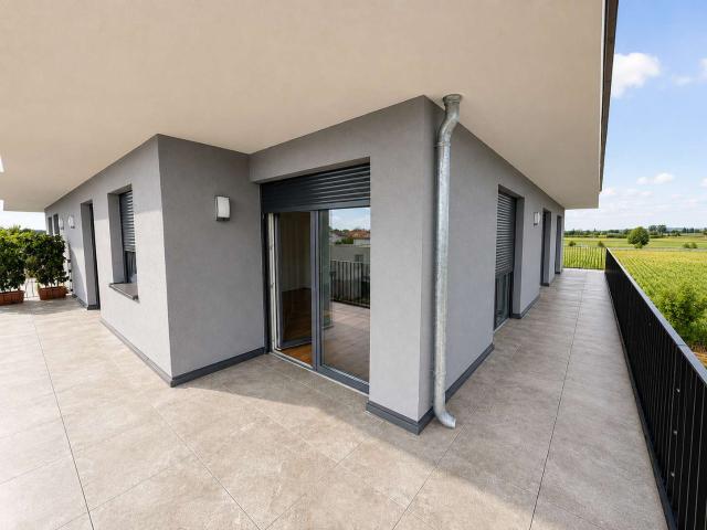 Wohnung zum Kaufen in Ringsheim 560.000,00 EUR 124.27 m²