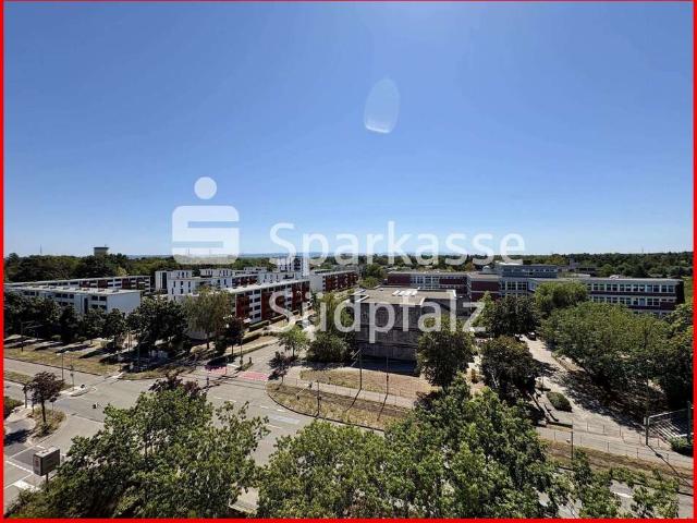 Wohnung zum Kaufen in Wörth 315.000,00 EUR 132 m²