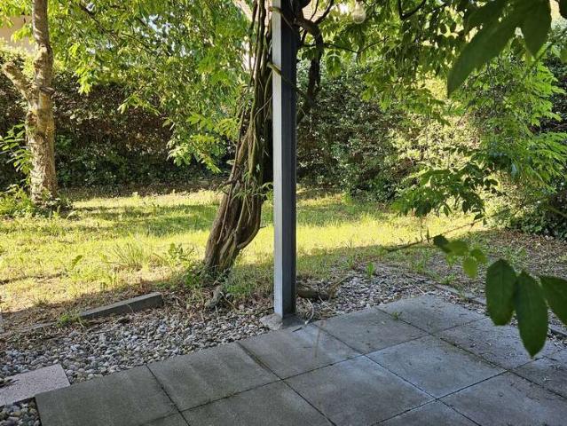 Wohnung zum Kaufen in Wachenheim an der Weinstraße 375.000,00 EUR 90 m²